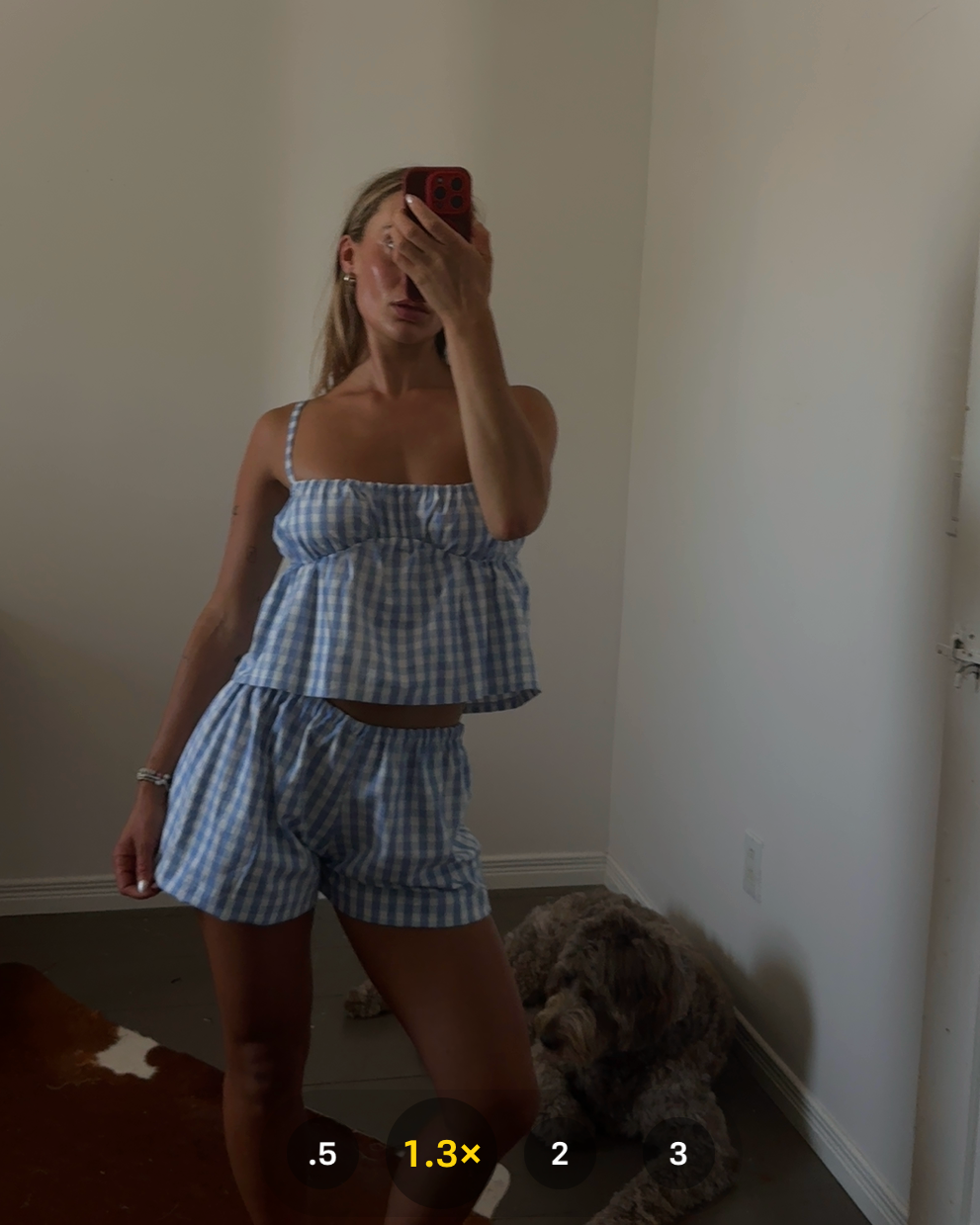 Micro Lounger / Blueberry Gingham